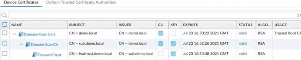 Paloalto Networks-PCNSE20_1